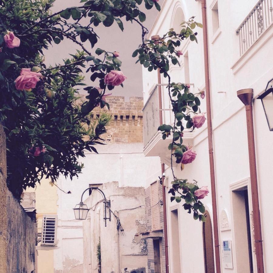 Il Vicoletto Bed & Breakfast Pulsano Exterior photo